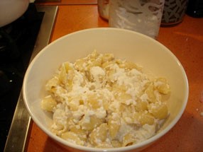 Shell Pasta with Ricotta