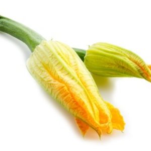 Squash-flowers-fiori-di-zucca